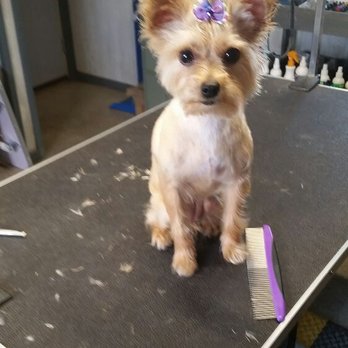 Ruff Cuts Pet Parlor - Pet Groomers Near Me - Quincy, Ohio