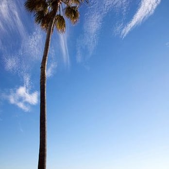 Coronado Center Beach - Beaches Near Me - Coronado, California Coronado Center Beach - Beaches Near Me - Coronado, California
