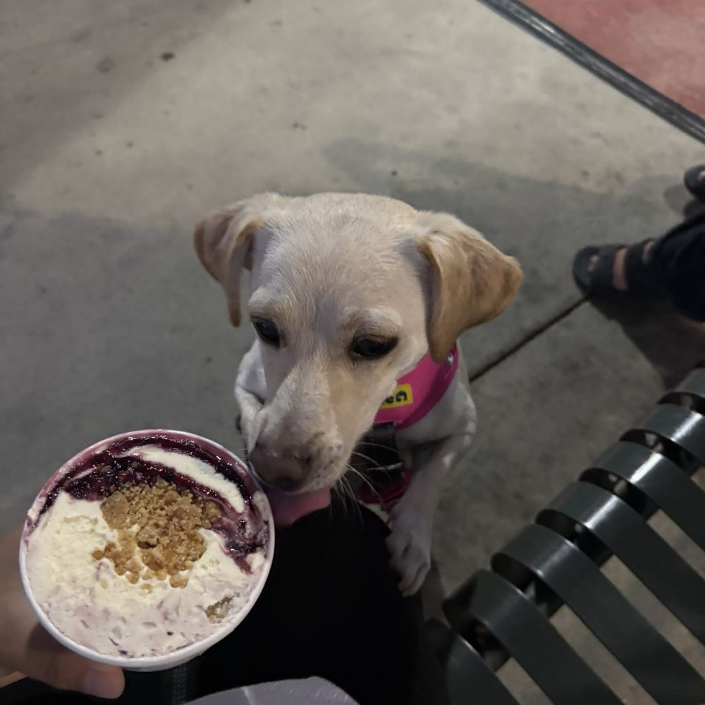 lemon blueberry streusel