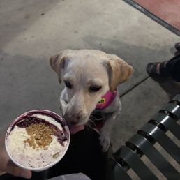 lemon blueberry streusel lemon blueberry streusel