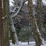 Photo of Heilquelle Wiedenest