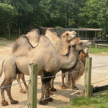Metro Richmond Zoo - Zoos Near Me - Moseley, Virginia