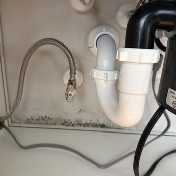 Broadstone Oliver - Mold growth under kitchen sink - Apartments Near Me - Houston, Texas