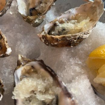 OPAH Seafood Grill - Oysters with gin and tonic granata - New American Near Me - Aliso Viejo, California OPAH Seafood Grill - Oysters with gin and tonic granata - New American Near Me - Aliso Viejo, California