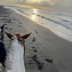 Galveston Island Horse and Pony Rides