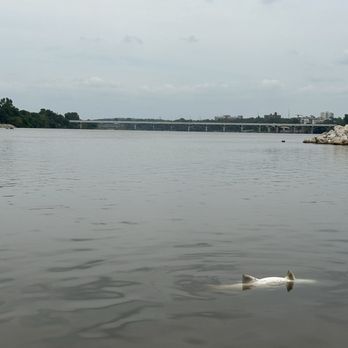 Gathering Place - Arkansas river - poor fish - Parks Near Me - Tulsa, Oklahoma