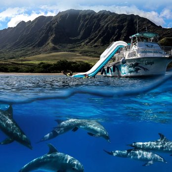 Dolphins and You - Best Dolphin Watch and Turtle Snorkel on Oahu! - Boat Charters Near Me - Honolulu, Hawaii Dolphins and You - Best Dolphin Watch and Turtle Snorkel on Oahu! - Boat Charters Near Me - Honolulu, Hawaii