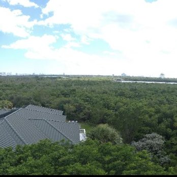 Anne Kolb Nature Center - Panoramic view from the tower - Parks Near Me - Hollywood, Florida
