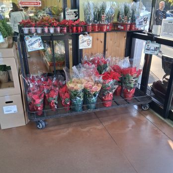 Trader Joe's - Grocery Near Me - Columbia, South Carolina