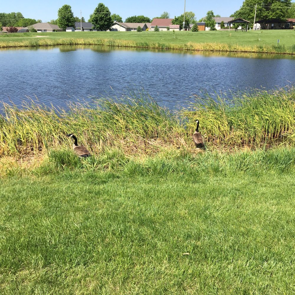 East Lake Park - One of the couple of ponds you can run/walk/bicycle by. Complete with geese. - Parks Near Me - Mount Pleasant, Iowa East Lake Park - One of the couple of ponds you can run/walk/bicycle by. Complete with geese. - Parks Near Me - Mount Pleasant, Iowa