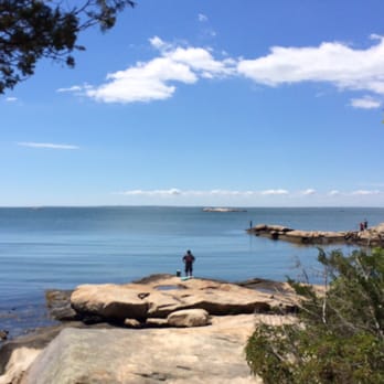 Rocky Neck State Park - Parks Near Me - East Lyme, Connecticut