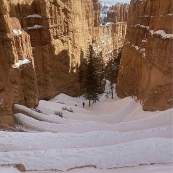 Zion Adventures - Switch back - Hiking Near Me - Springdale, Utah Zion Adventures - Switch back - Hiking Near Me - Springdale, Utah