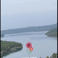 Pointe West Resort & Suites - Beaver lake from the balcony