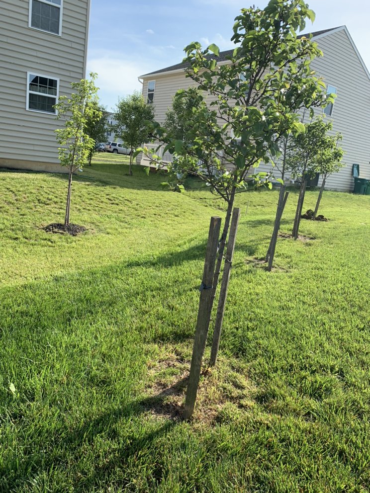 J&K LANDSCAPING AND HARDSCAPING Updated August 2024 Wilmington