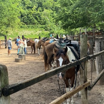 Tropical Trail Rides - Tours Near Me - Isabela, Puerto Rico