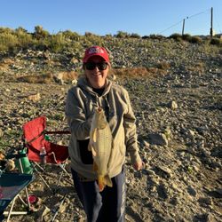 Brite Lake Campground - Carp