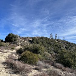 Mount Lukens
