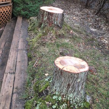 Flaherty Tree Service - Tree Services Near Me - Pittsburgh, Pennsylvania Flaherty Tree Service - Tree Services Near Me - Pittsburgh, Pennsylvania