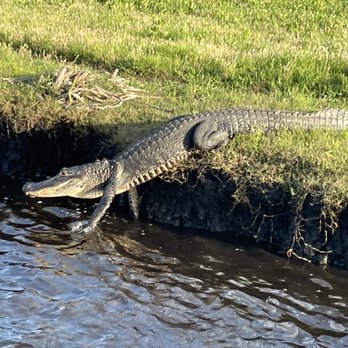 Wind Walker Airboat Charters - Boat Tours Near Me - Cocoa, Florida Wind Walker Airboat Charters - Boat Tours Near Me - Cocoa, Florida