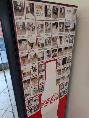 Yellow Paper Burger by null