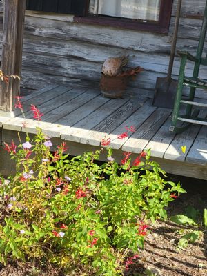 Cape Fear Botanical Garden by null