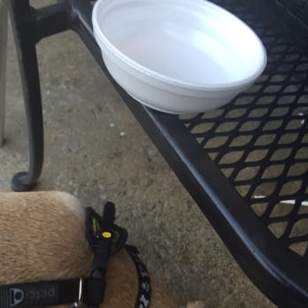 Best Shawarma - Their bowl of rice was so good my doggie finished it all - Middle Eastern Near Me - Glendale, California