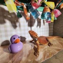 Brook-falls Veterinary Hospital & Exotic Care - Welcome Spring!