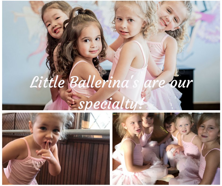 Prince William Dance Academy Logo