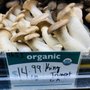 Photo of SLO Food Co-op