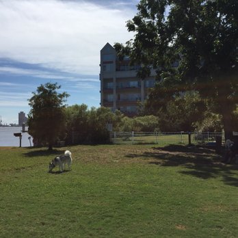 Petas Bea Arthur Dog Park - Dog Parks Near Me - Norfolk, Virginia