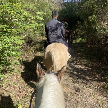 Fraziers' Homestead - Horse Boarding Near Me - Central, Louisiana