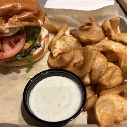 Schaylor Brewing - Fancy burger