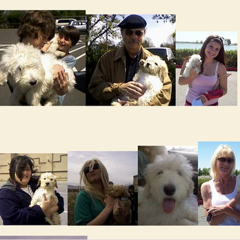 Crazy Women Kennel - same as before... not at the kennel - Pet Stores Near Me Crazy Women Kennel - same as before... not at the kennel - Pet Stores Near Me