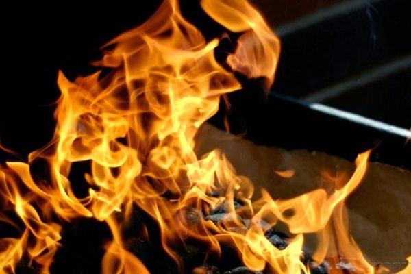 KD's Bar-B-Q by null