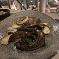 Quinto - Grilled Octopus