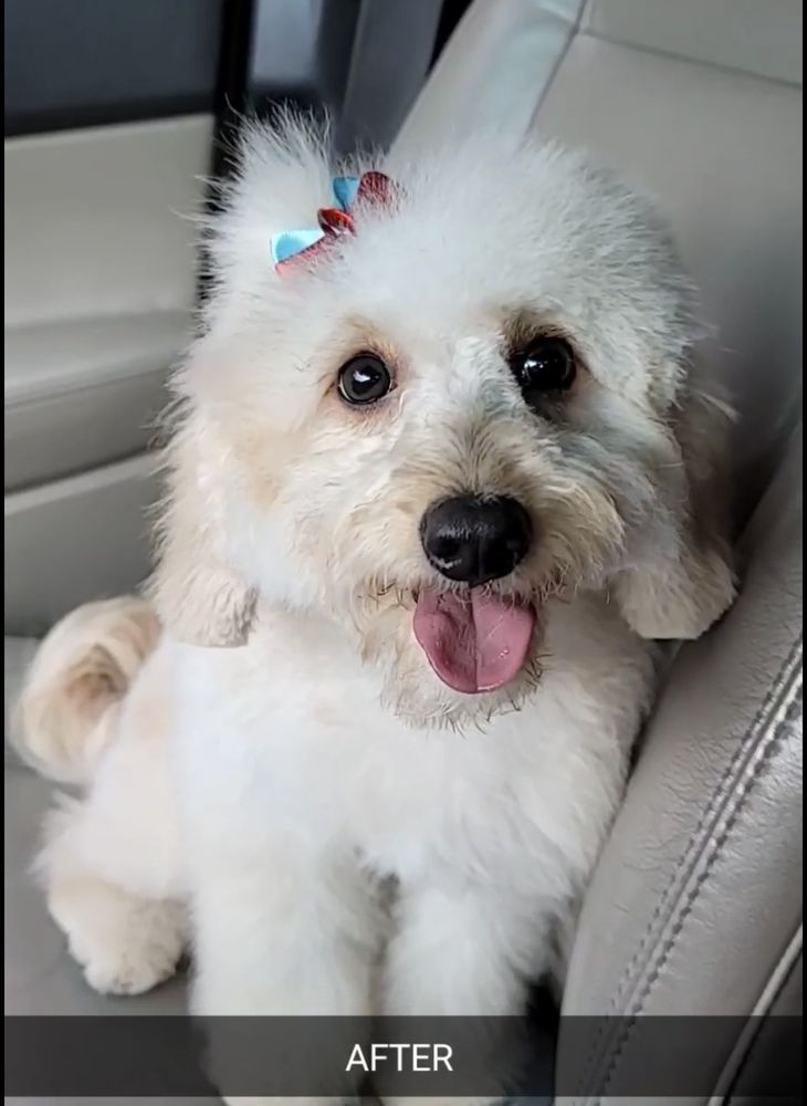 PET HOUSE Updated October 2024 12 Photos & 14 Reviews 494 Ferry