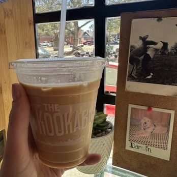 The Kookaburra - Coffee & Tea Near Me - St. Augustine, Florida