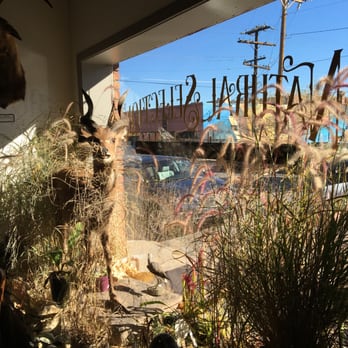 Natural Selection - Taxidermy Near Me - Reno, Nevada Natural Selection - Taxidermy Near Me - Reno, Nevada