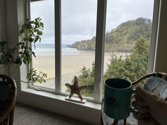 Starfish Point by null