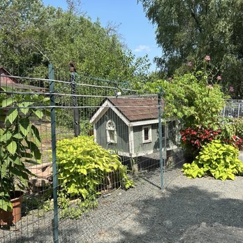Bloom Hill Farm - Animal cabin - Ice Cream & Frozen Yogurt Near Me - Bloomfield, Connecticut
