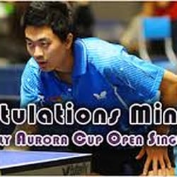 Atlanta International Table Tennis Academy