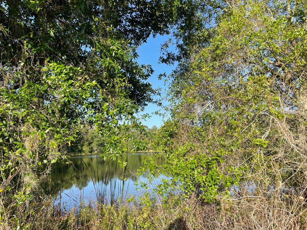 TROUT CREEK WILDERNESS PARK 13 Photos & 11 Reviews 12550 Morris