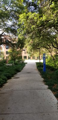 Trinity University by null