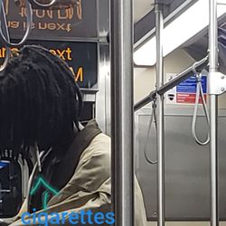 Cottage Grove - Poop stinch Homeless man smoking on the train walking back and forth through the carts asking for money.