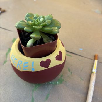 Maricopa Botanicals - My finished product - Nurseries & Gardening Near Me - Tempe, Arizona