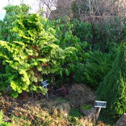 Langeskov Planteskole - Part of the outdoor, walk-thru garden.