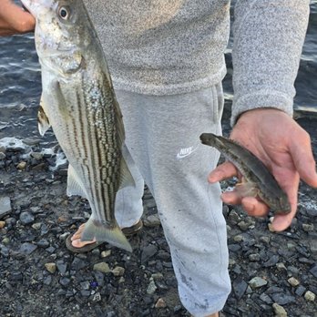 fishing bait and tackle near me