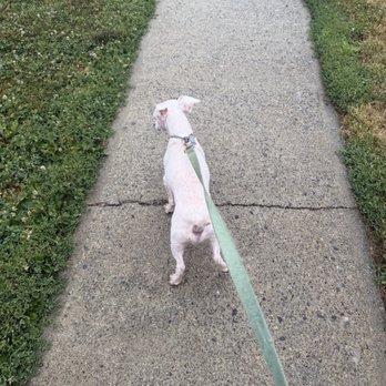 Waggin Wheels - Pet Groomers Near Me - Beacon, New York