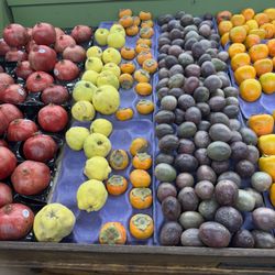 Greenland Market