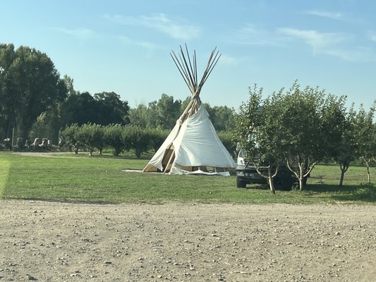 Big B's Delicious Orchards U-pick, Cafe & Tasting Room by null